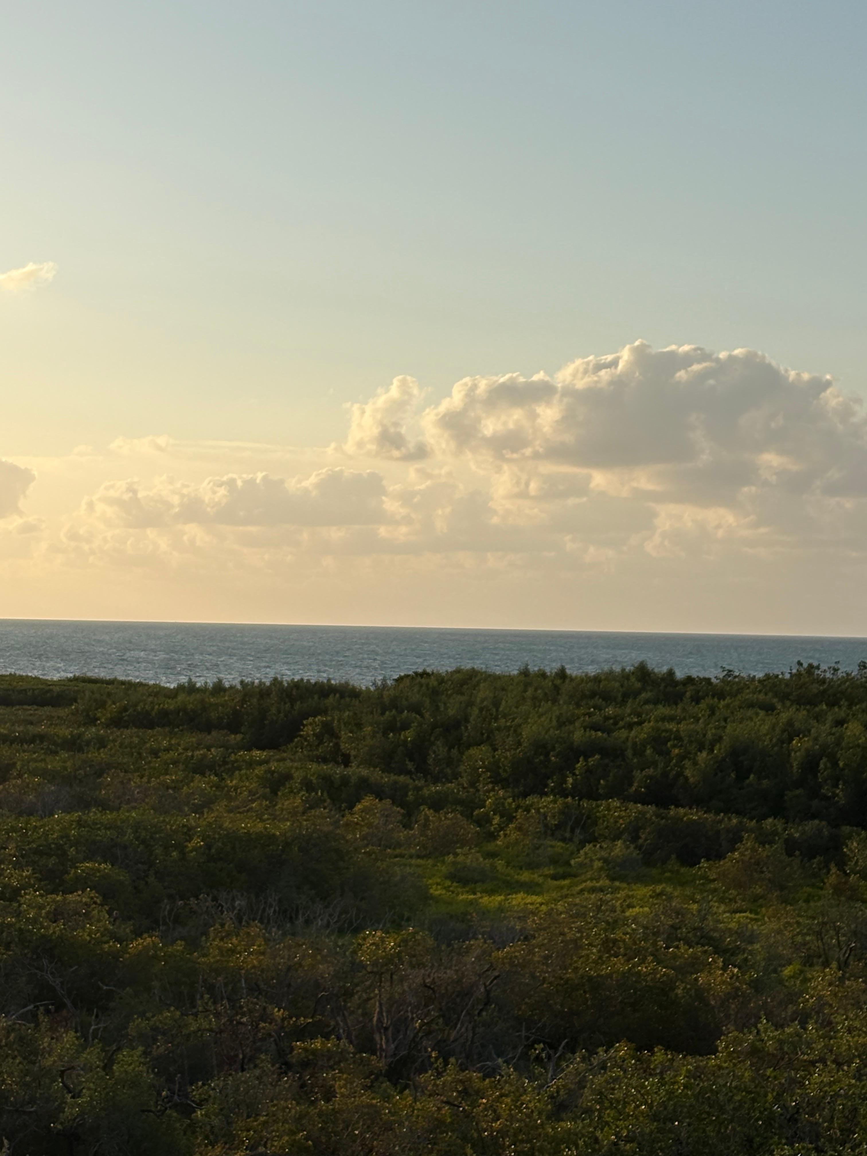 View from the condo