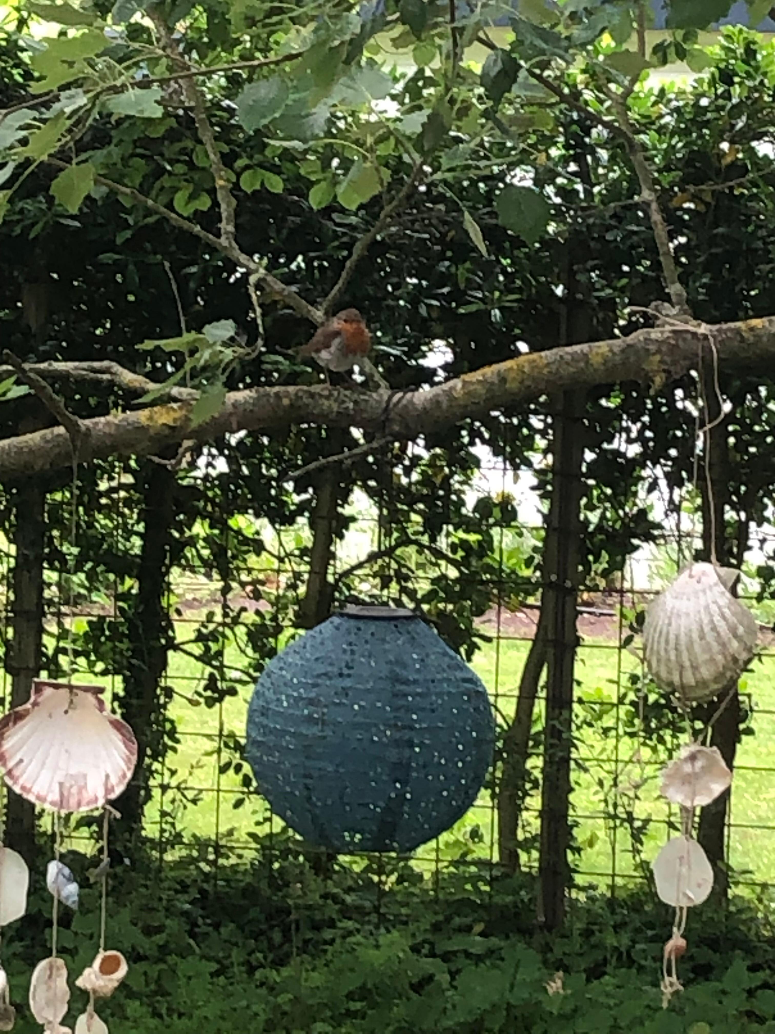 Liebevolle Deko am Baum 🌳 im Garten 