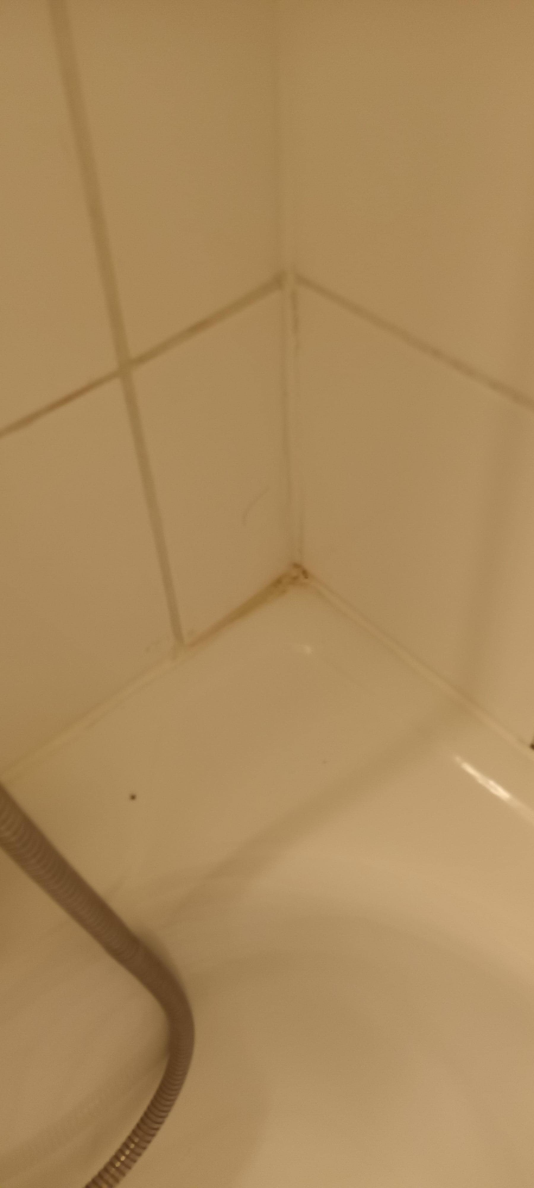 Joint à refaire propre