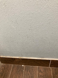 Black mold