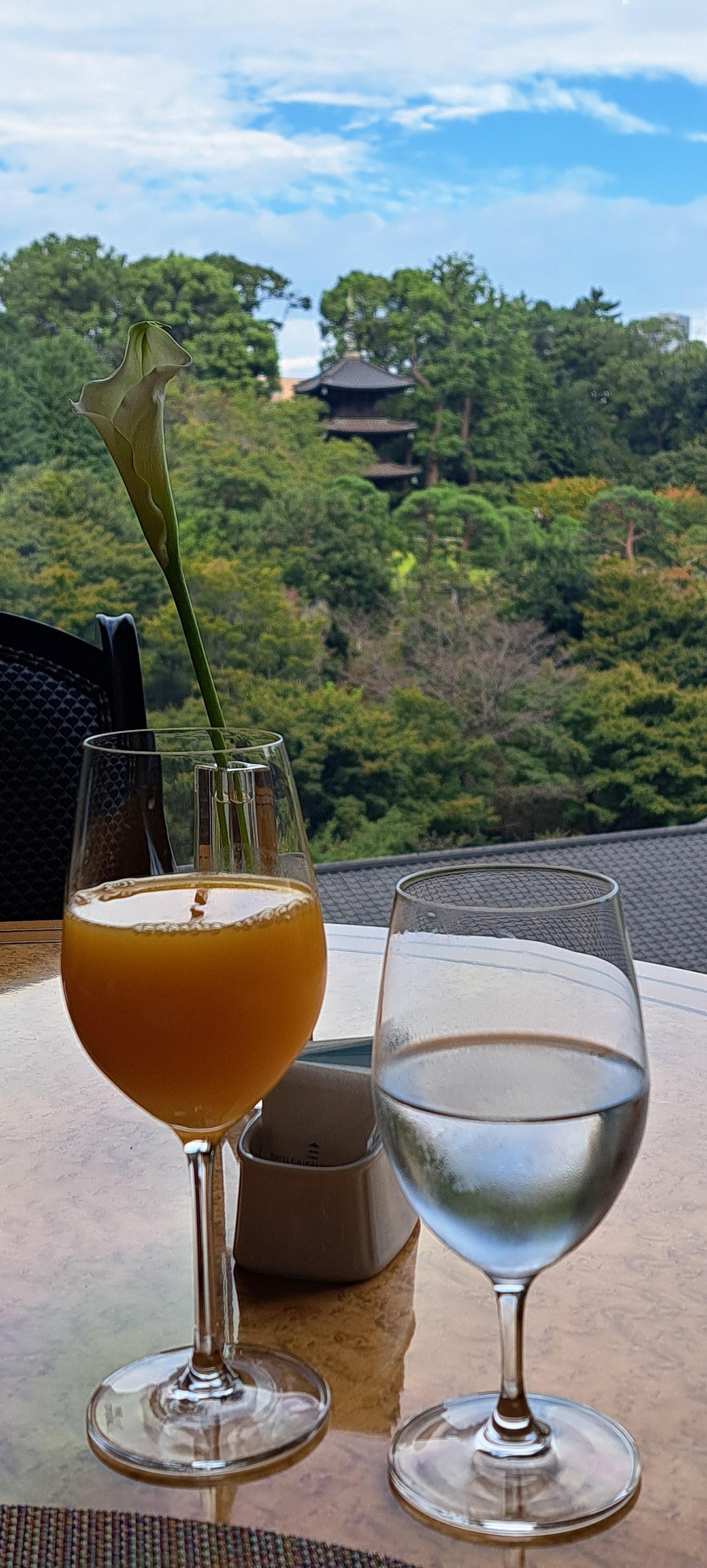 View from breakfast table