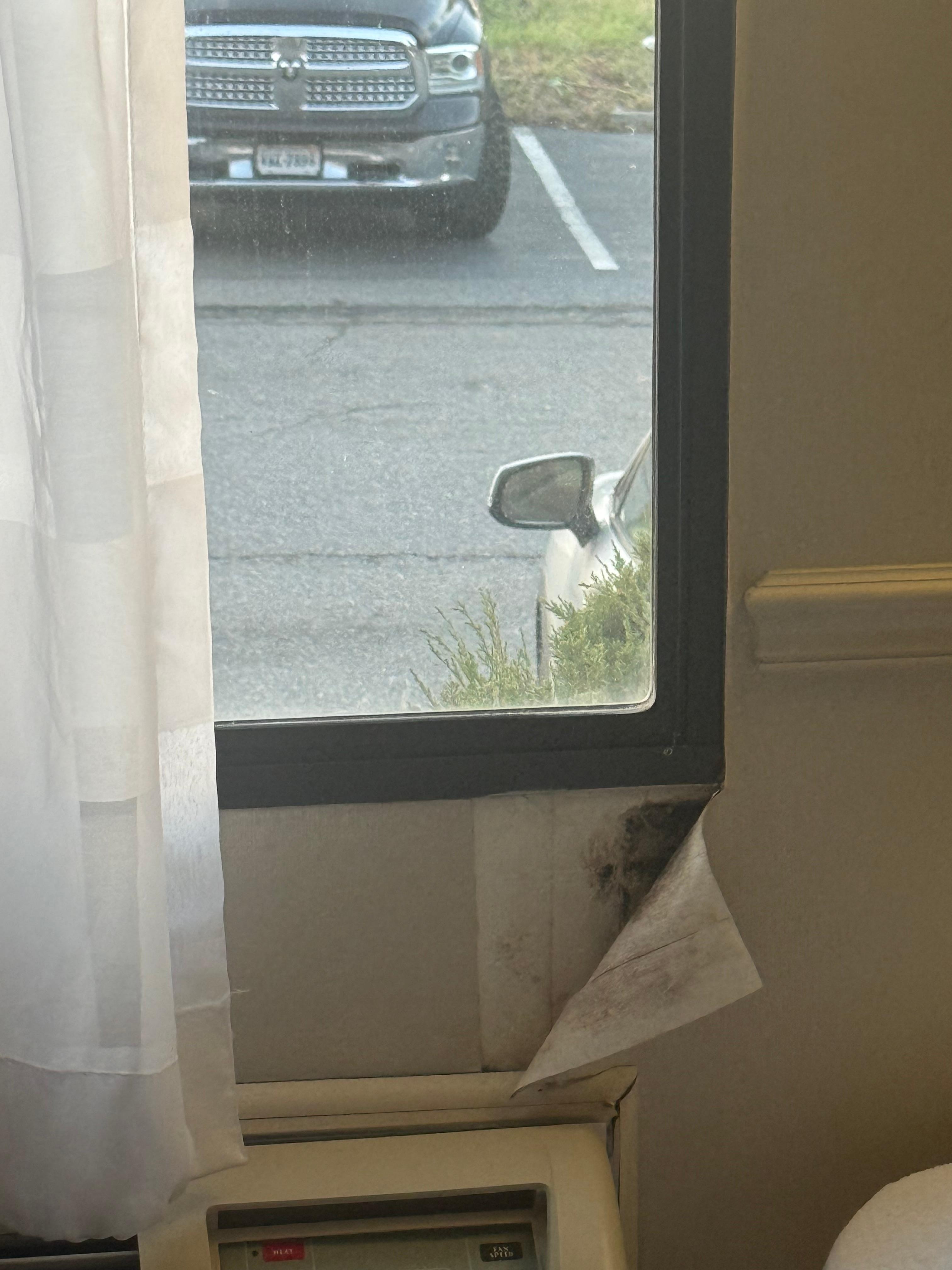 Mold and wall coming off 