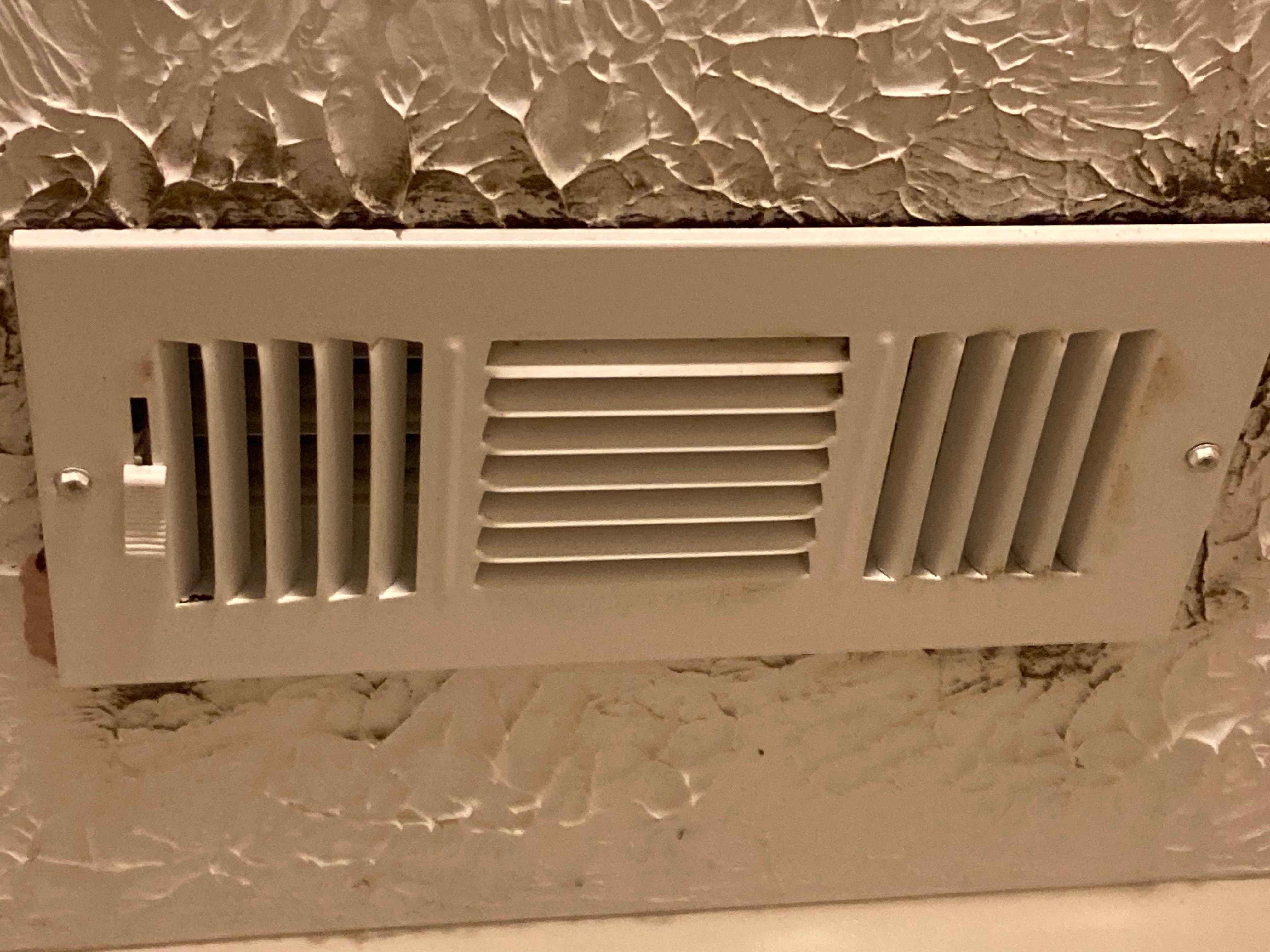 Moldy Vent