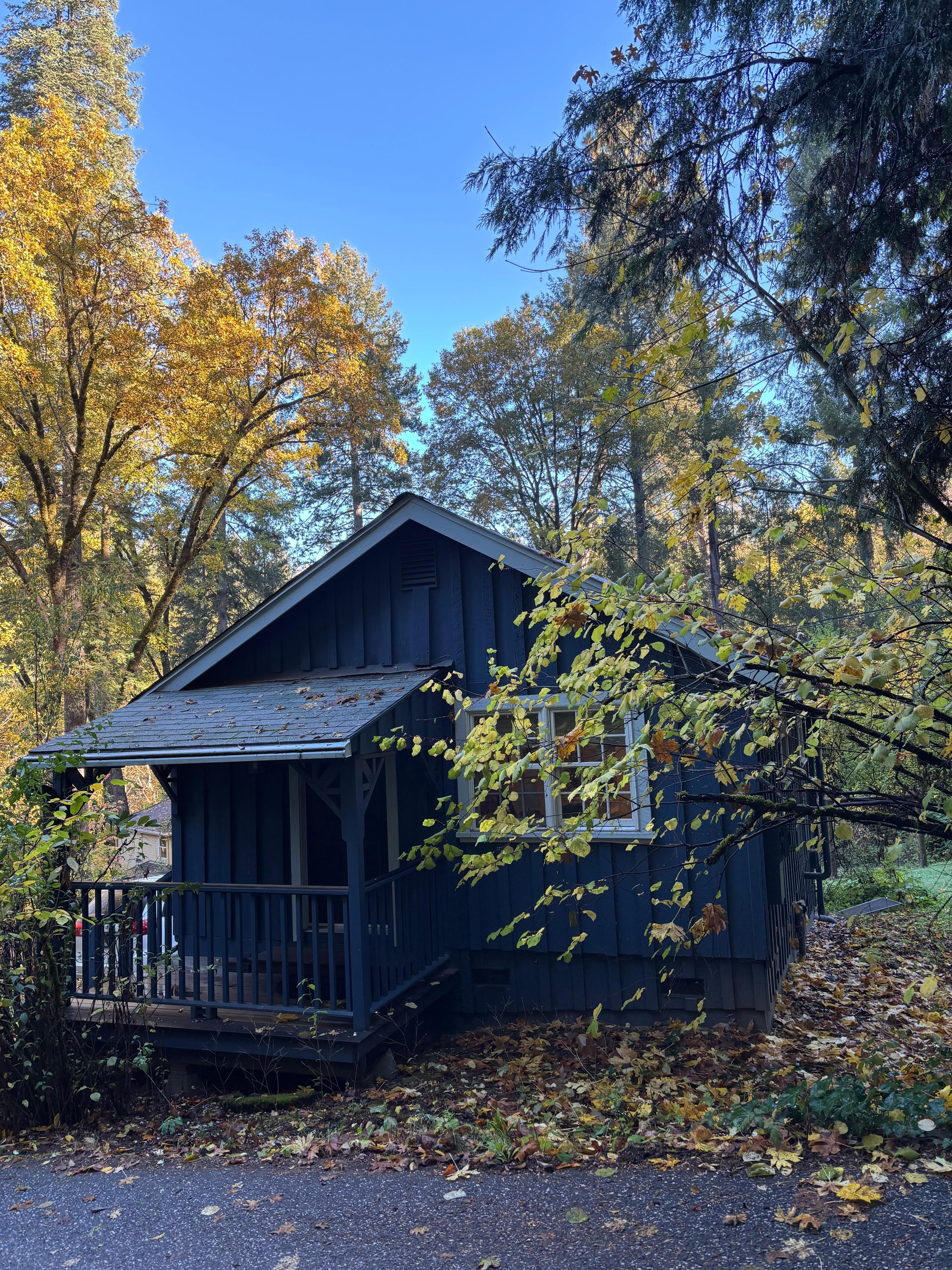 Cottage in the woods!