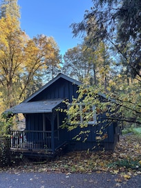 Cottage in the woods!