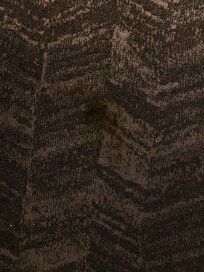 Stain in carpet