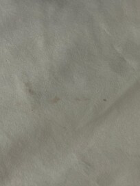 Sheet in 2nd room. Comforter in 1st room had black stains and an old blood stain