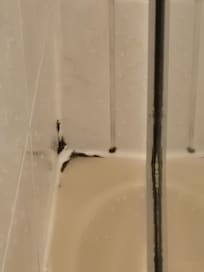 Visitors in the shower