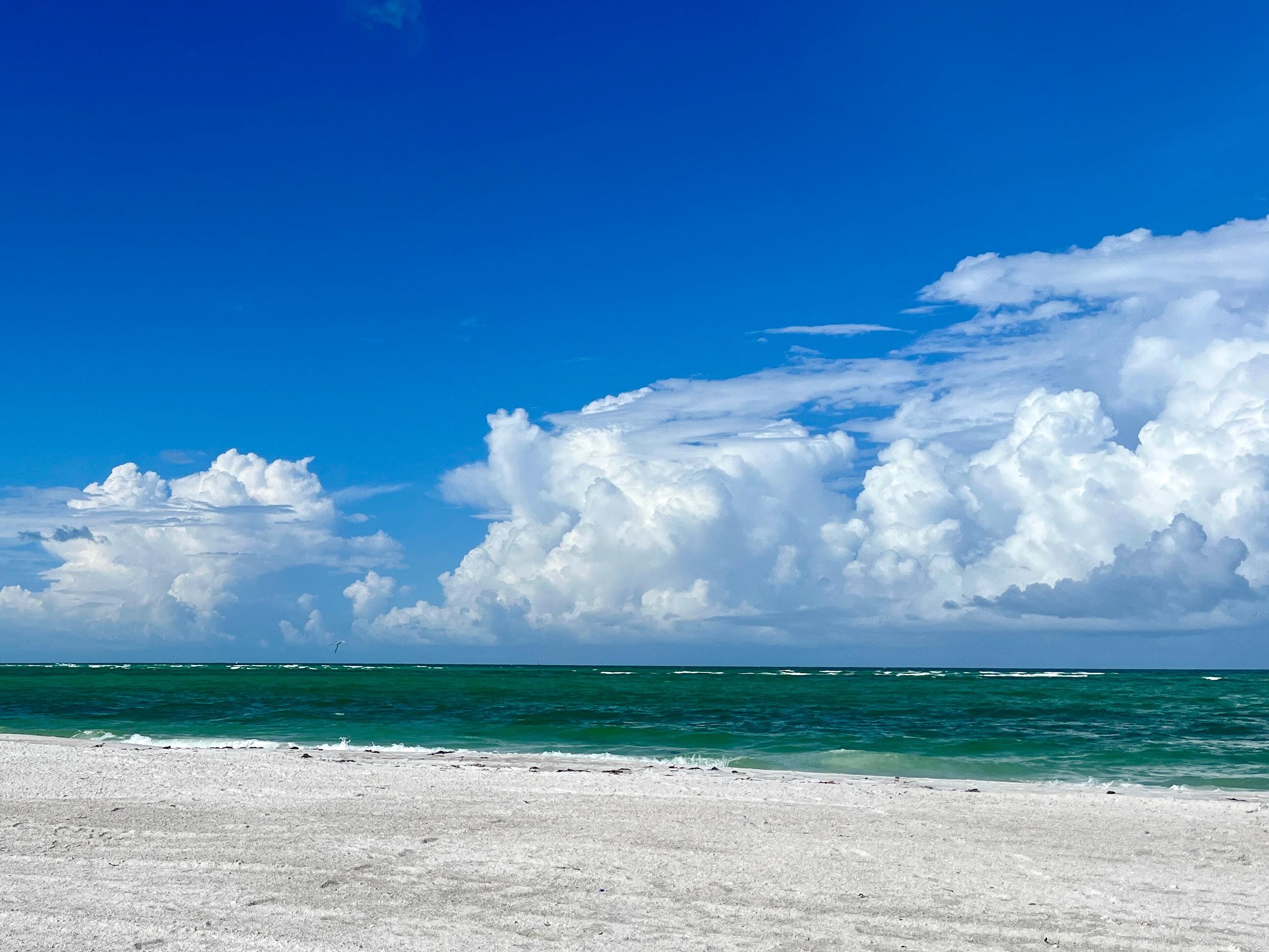 Beachfront