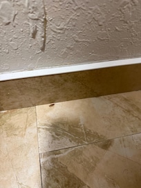 Roaches running around the bar area and I had some on my bed