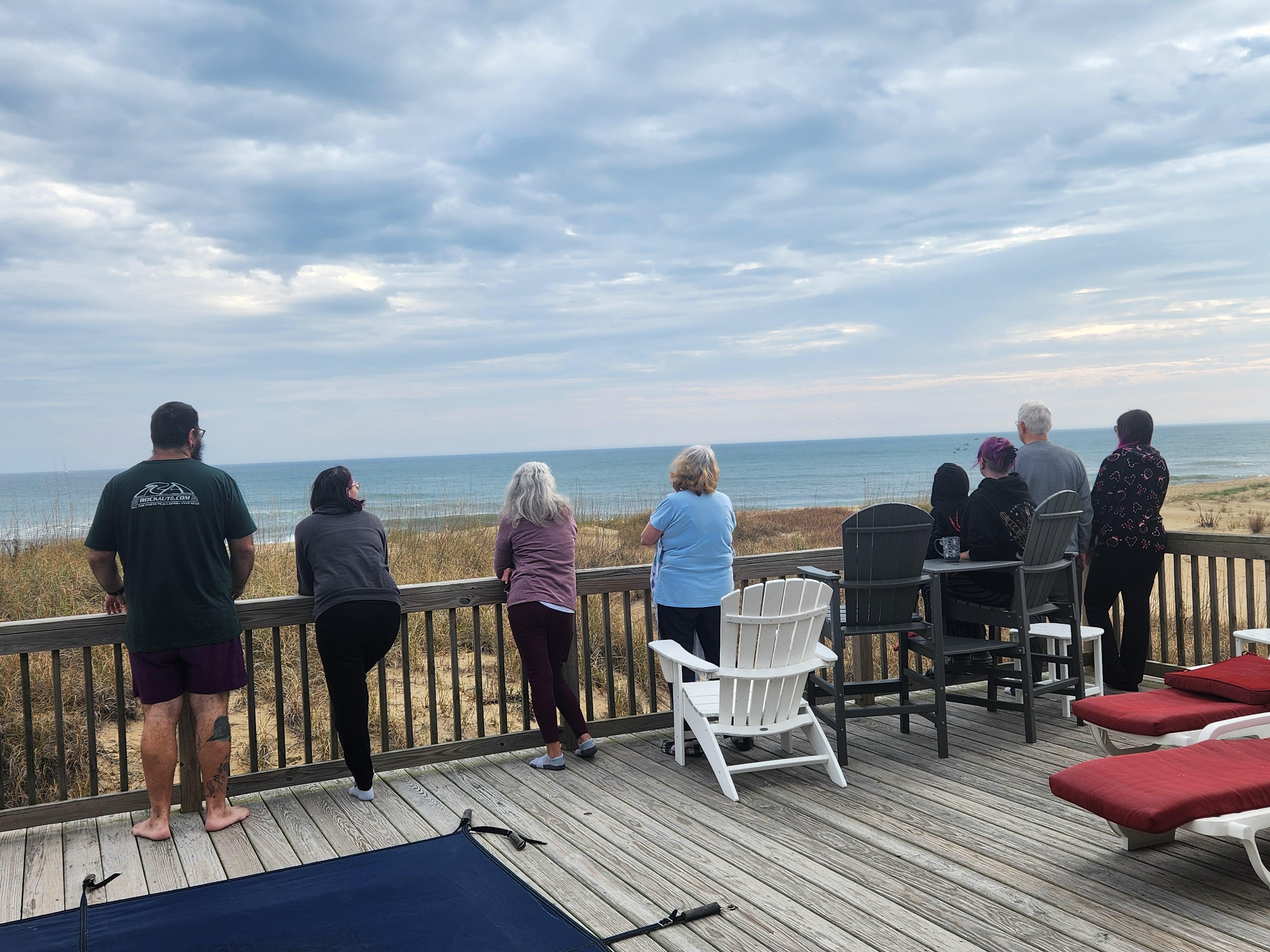 Watching dolphins in the morning 