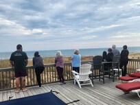 Watching dolphins in the morning