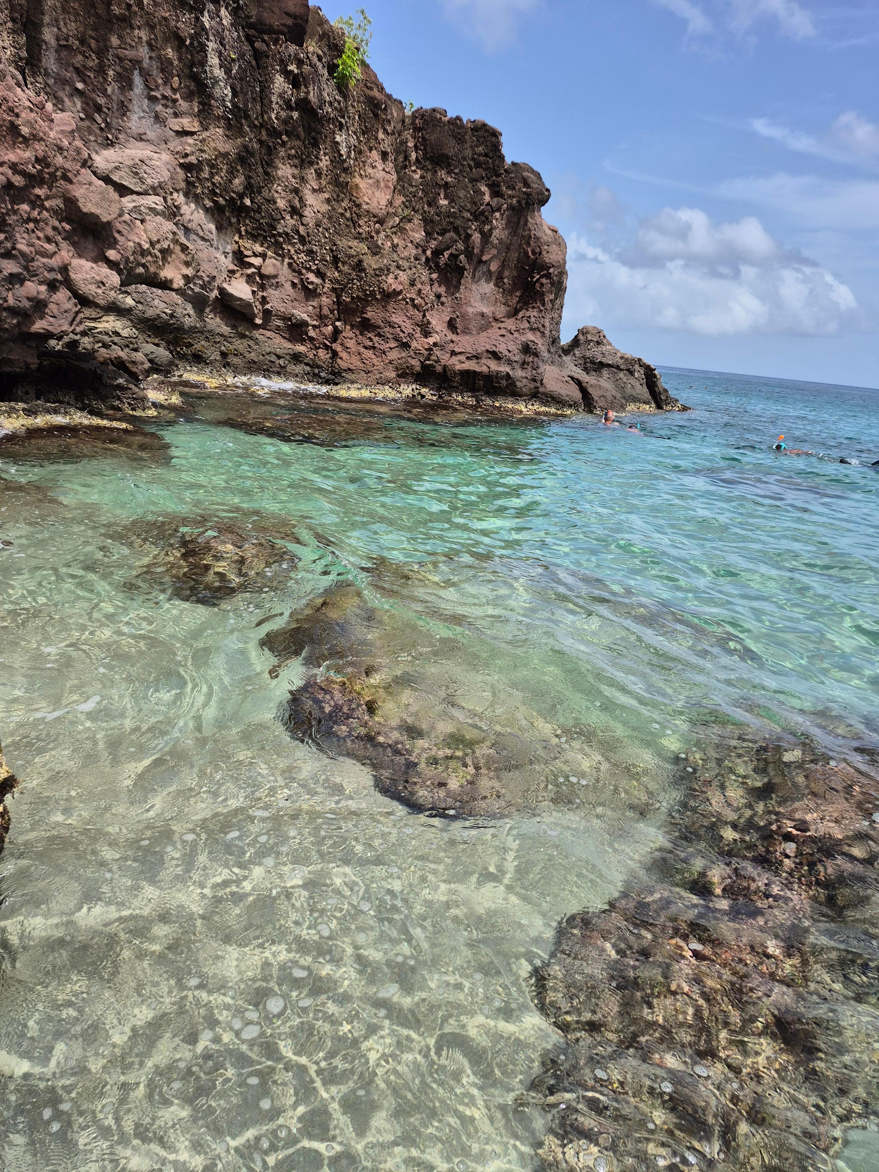 Plage Leroux
Plongée en apnée Wow beaucoup de poissons, étoile de mer et tortues