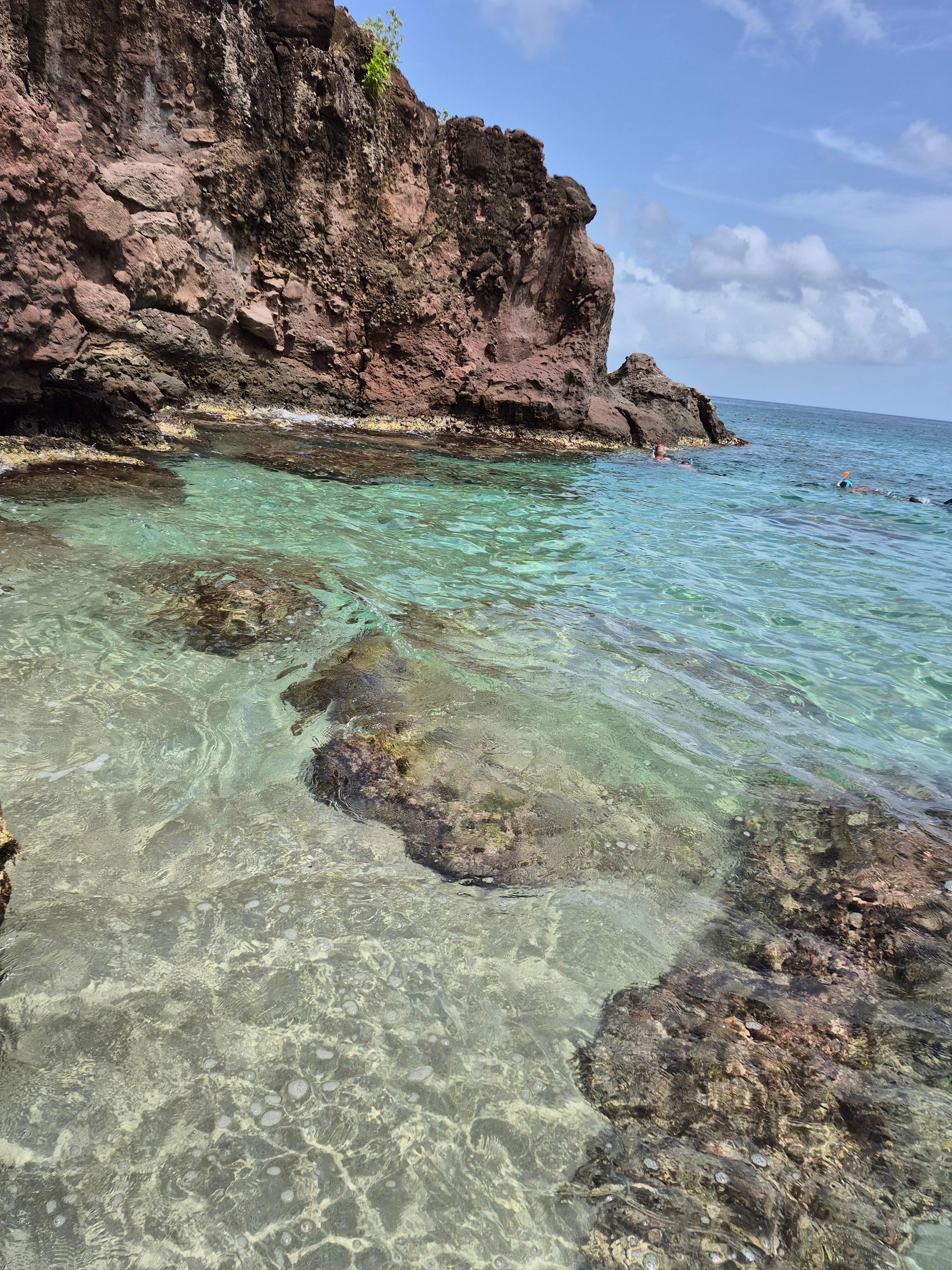 Plage Leroux 
Plongée en apnée Wow beaucoup de poissons, étoile de mer et tortues 