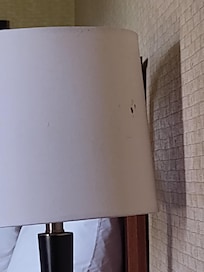 Something "brown" smeared on lamp shade