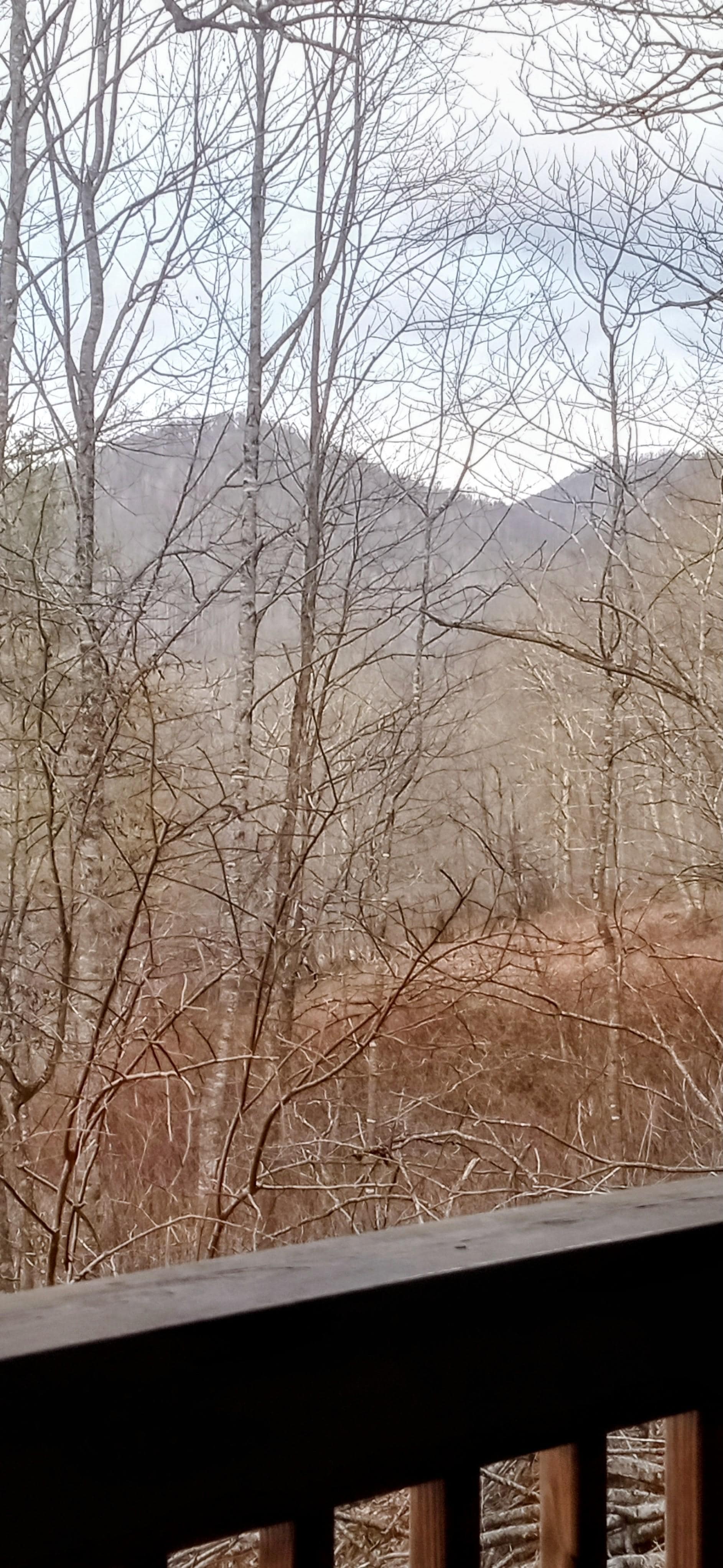 Nice views with leaves off the trees