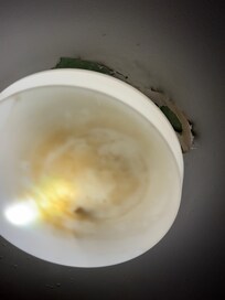 Light and ceiling in the bathroom