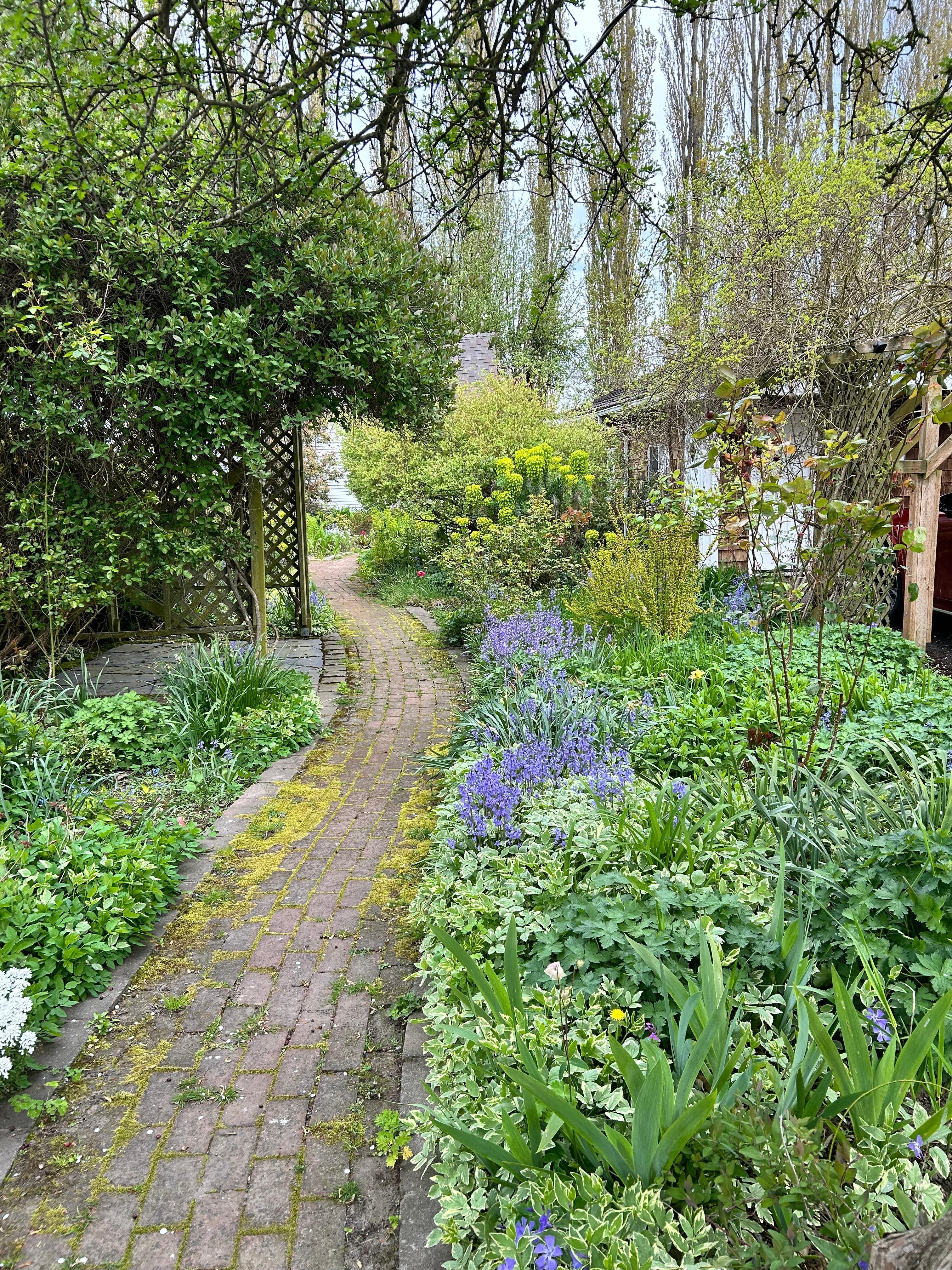 Beautiful garden and mini orchard so nice for wandering!
