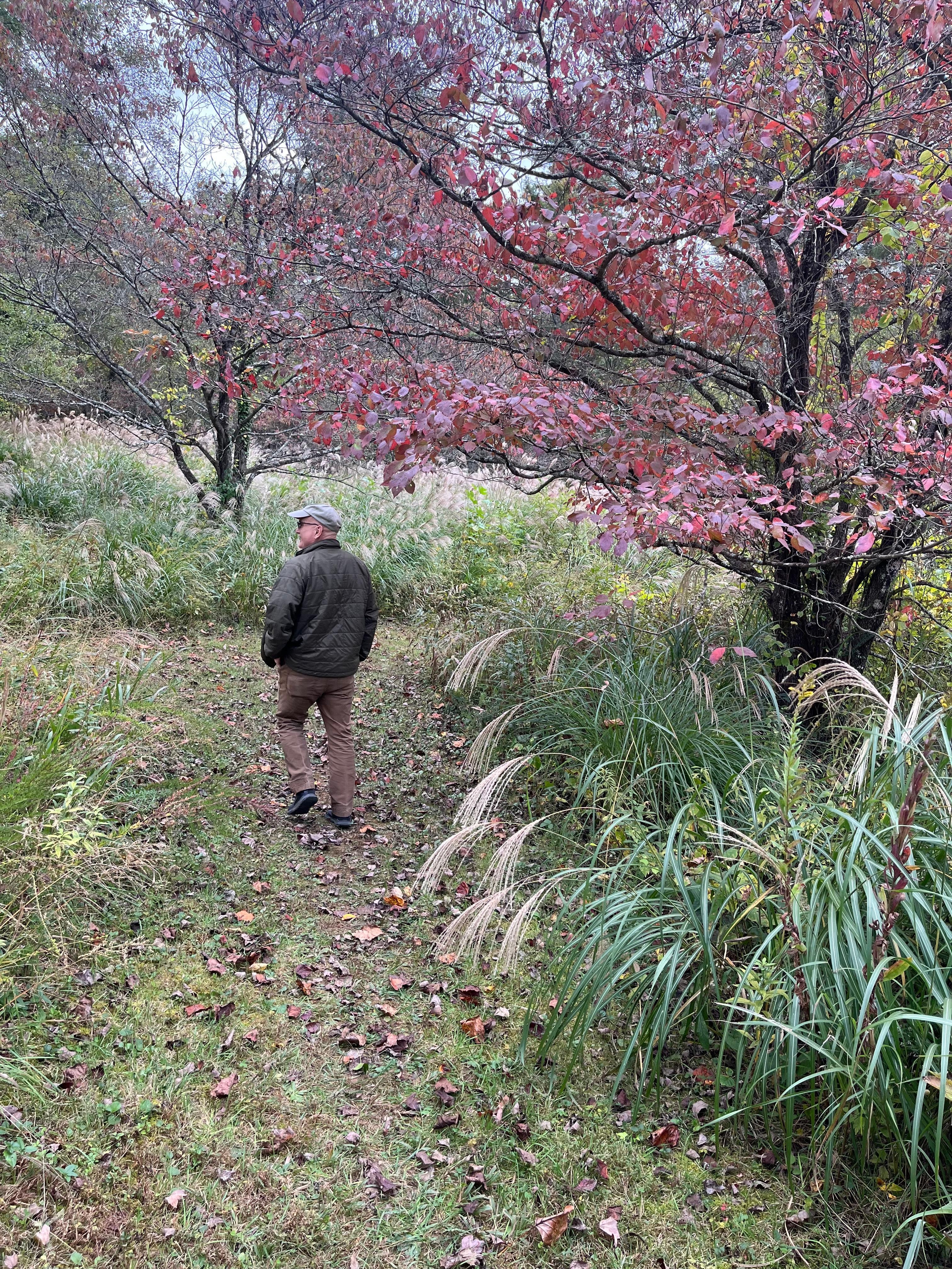 Kellogg Nature Center