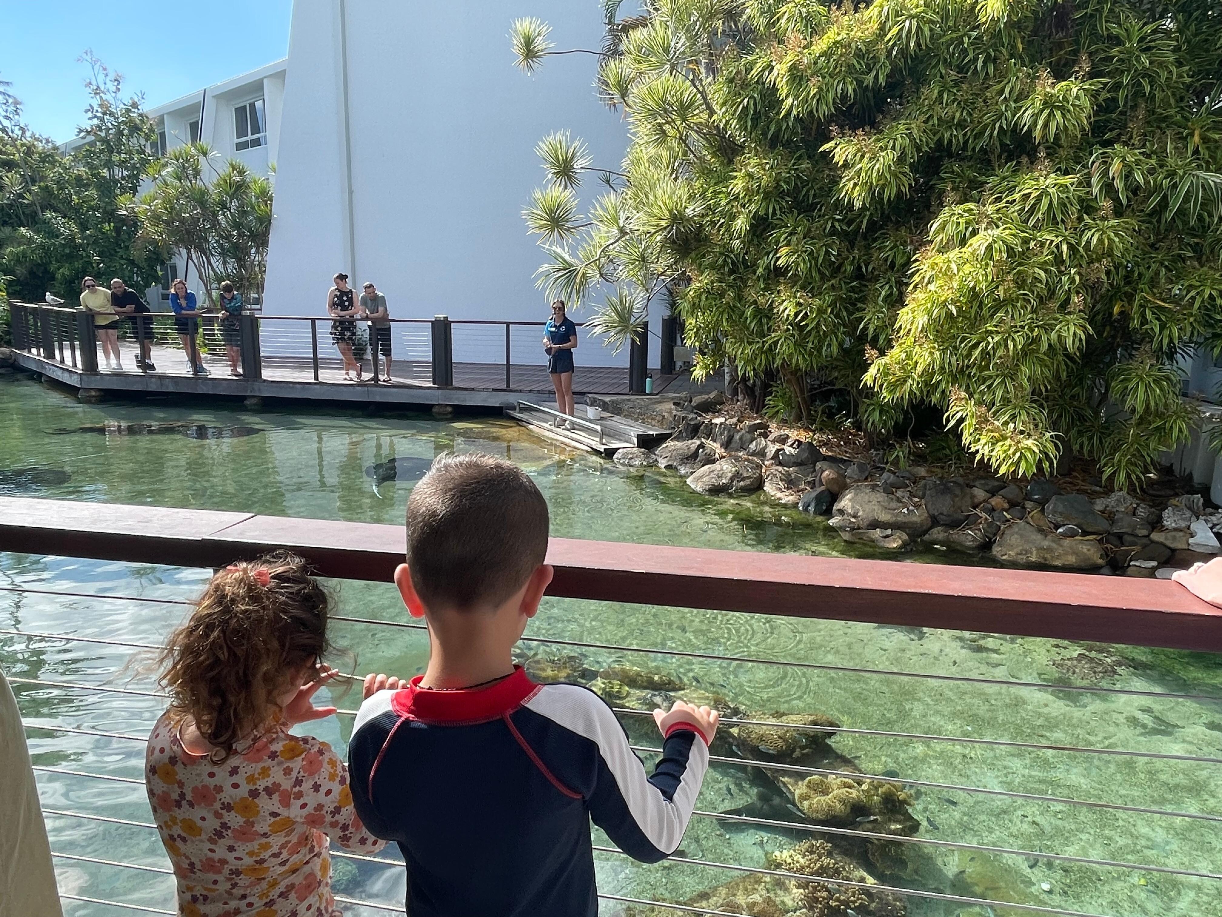 Fish feeding talk