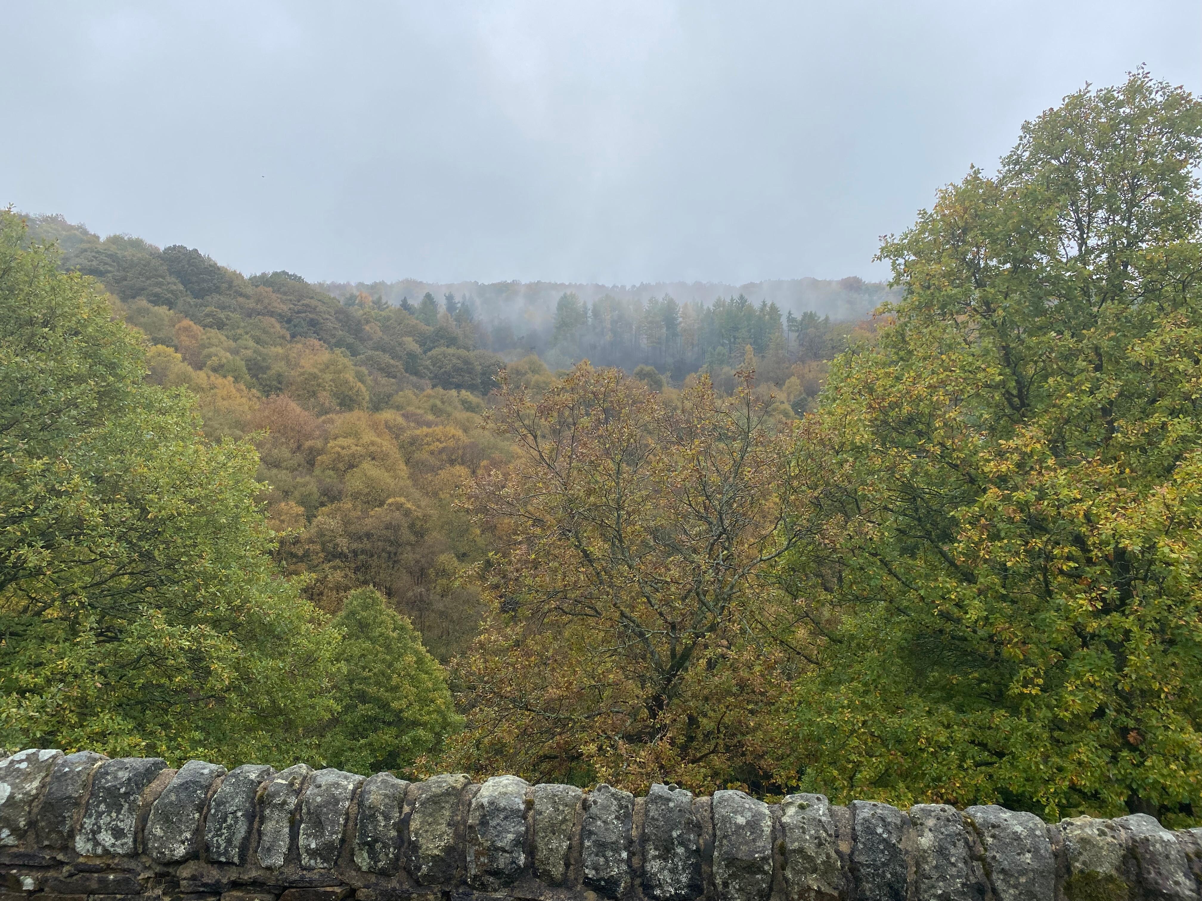 Some of the beautiful views from the cottage