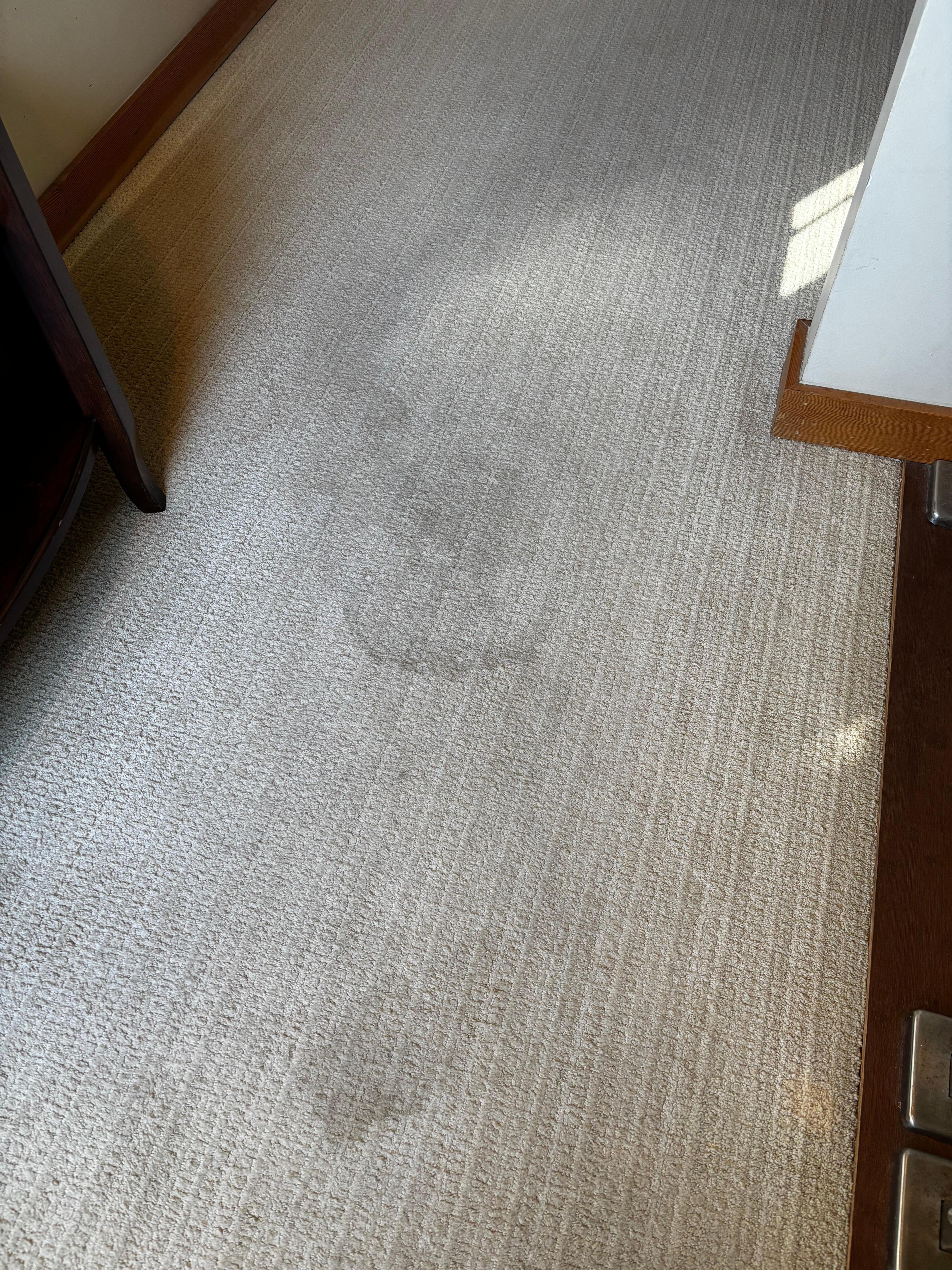 Carpet stains upstairs 