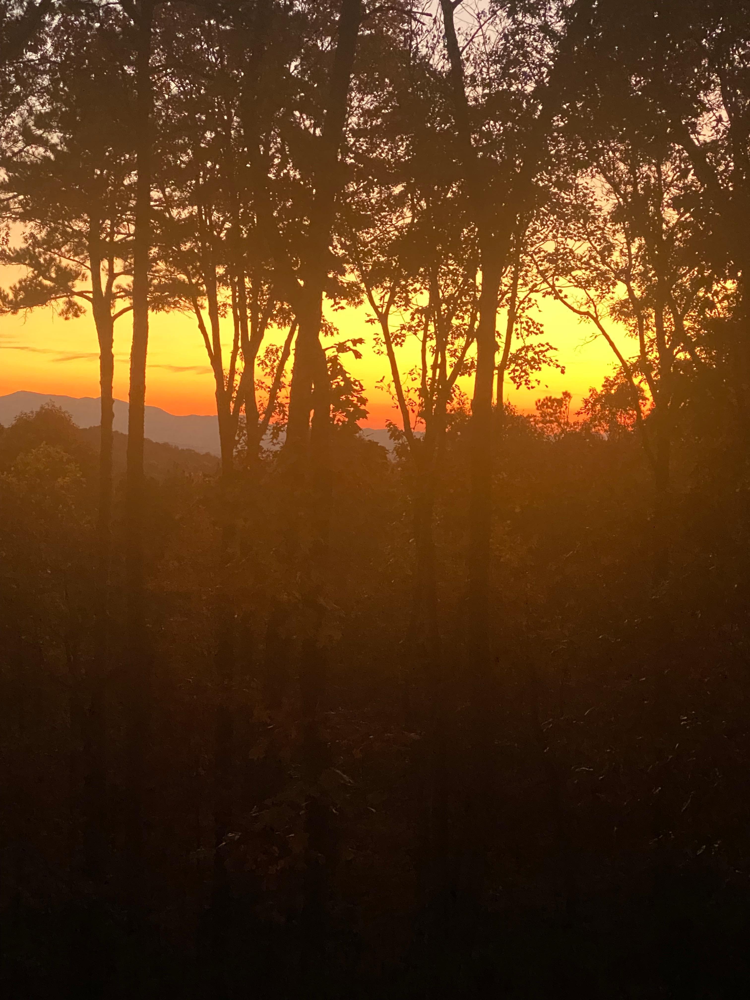 The view iff the back deck