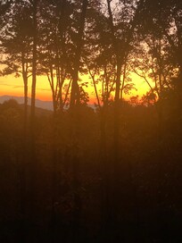 The view iff the back deck