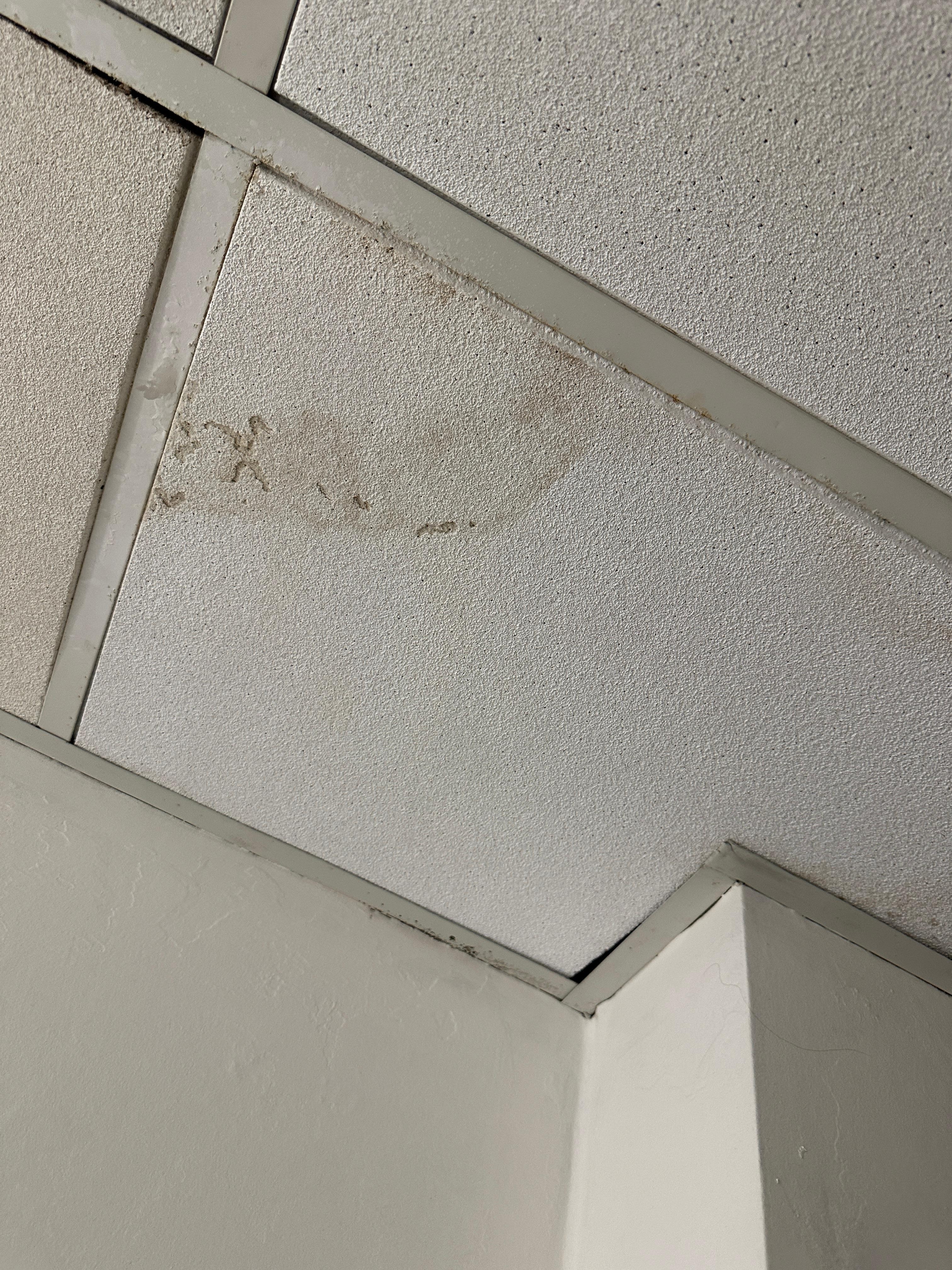 Mold in bathroom 