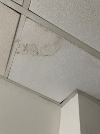 Mold in bathroom