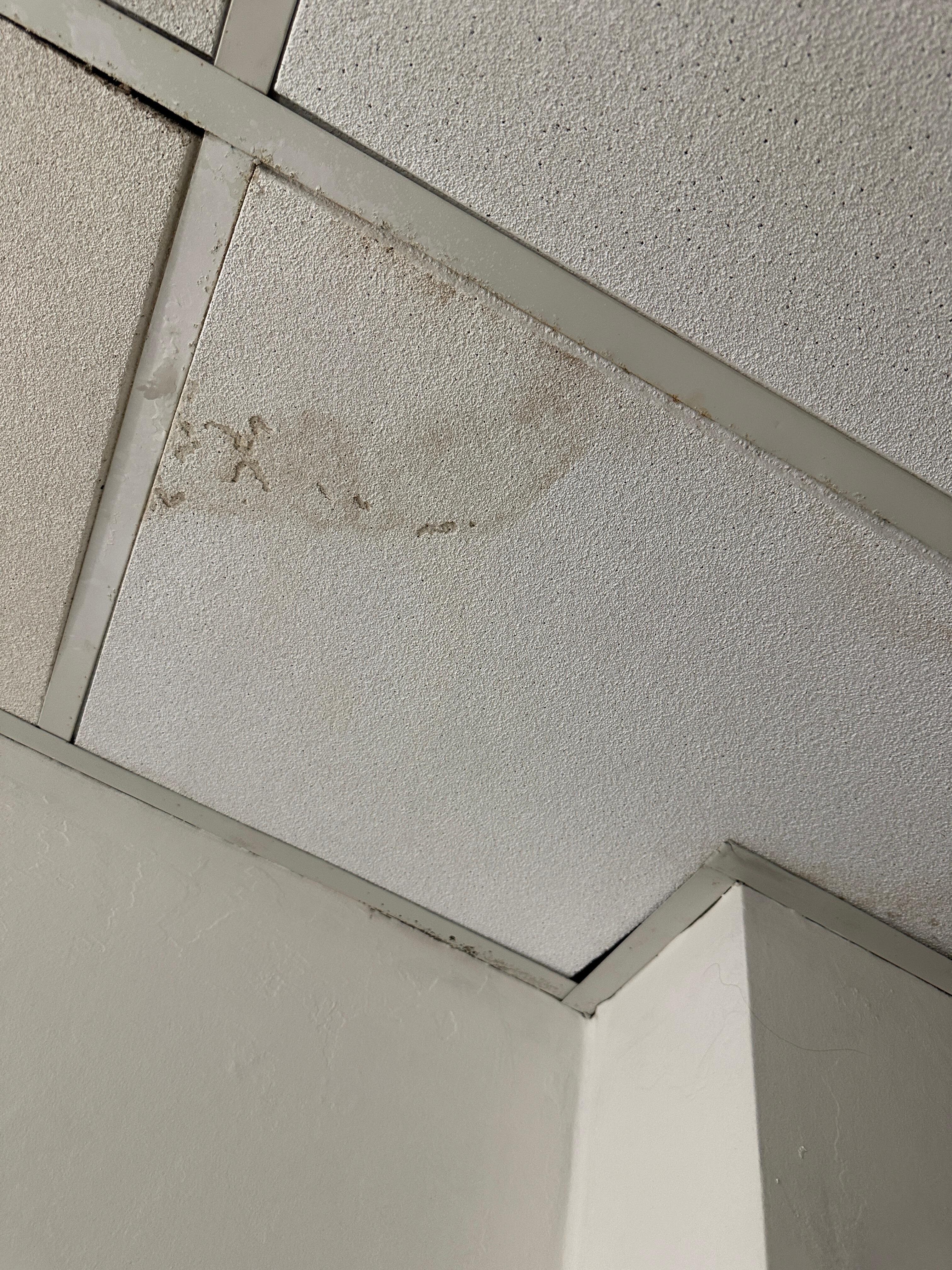 Mold in bathroom 