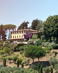 View from afar