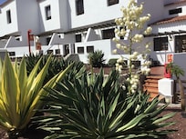 Las Rosas villas