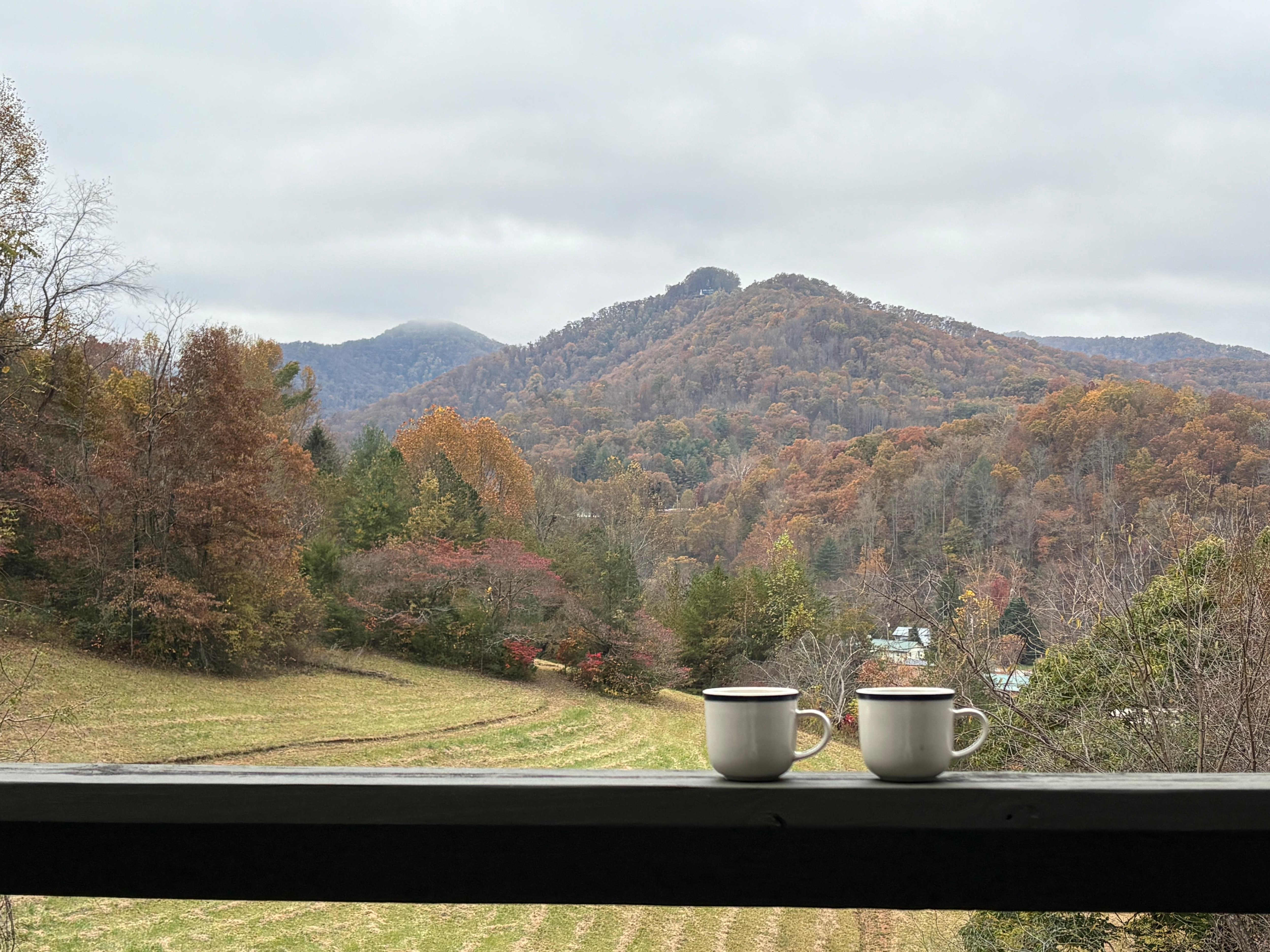 Photos are view from back deck. 