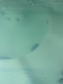 Hot tub water was very dirty.
