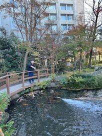 Hotel grounds!