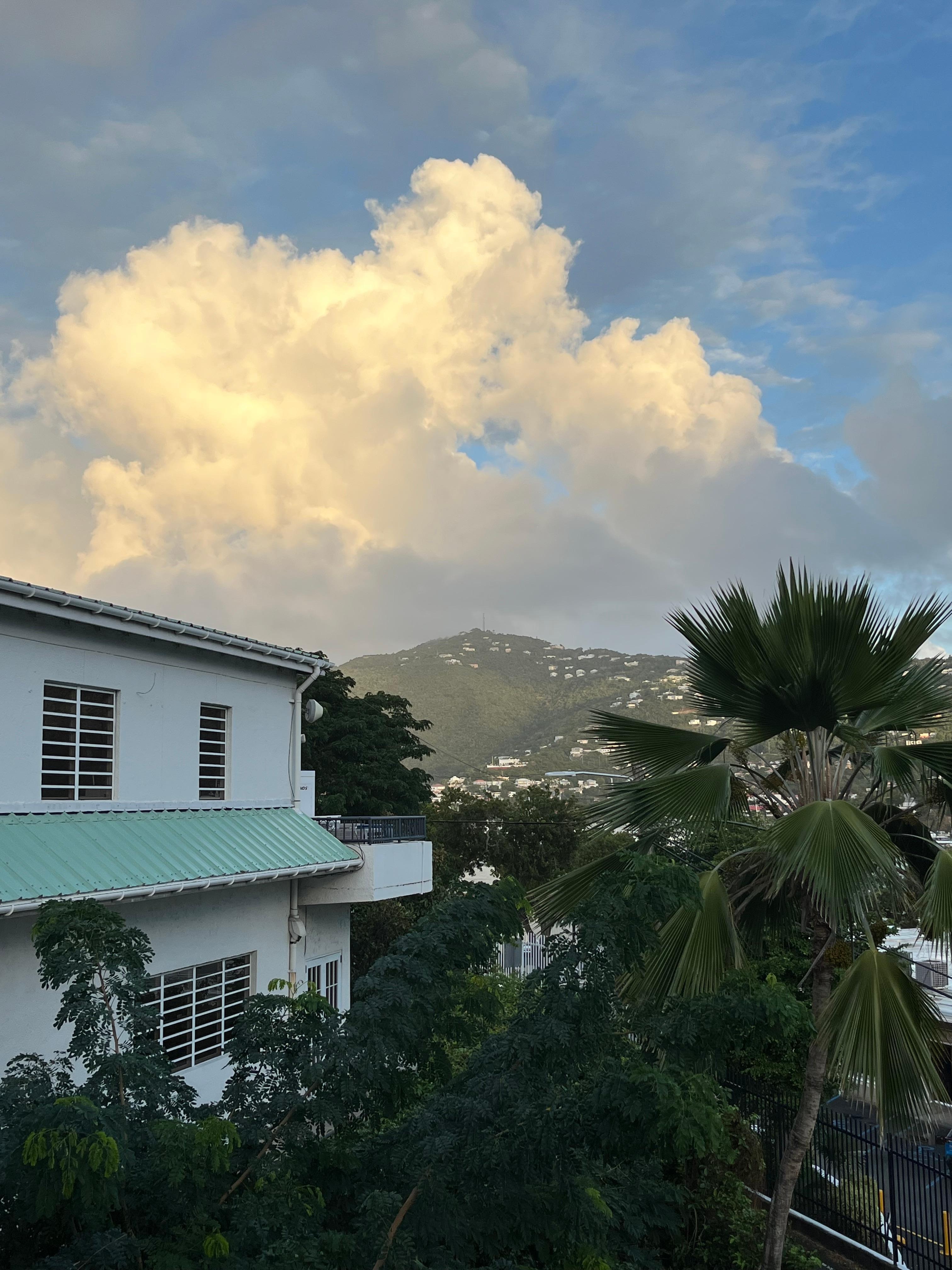 View from the terrace 