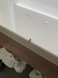 1 of 3 bugs that we found in our restroom