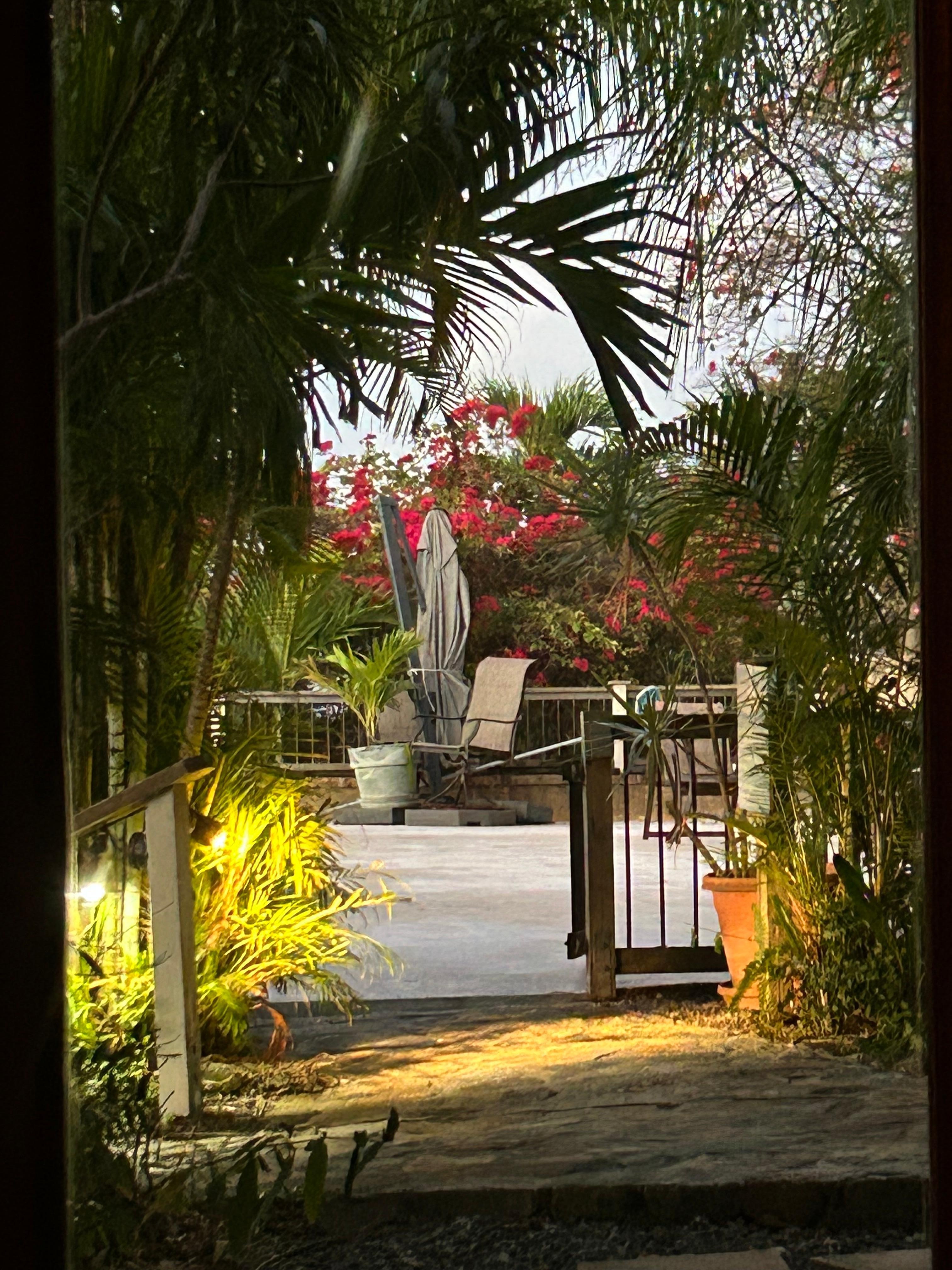 The view from living room