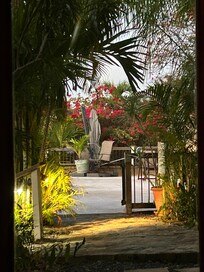 The view from living room