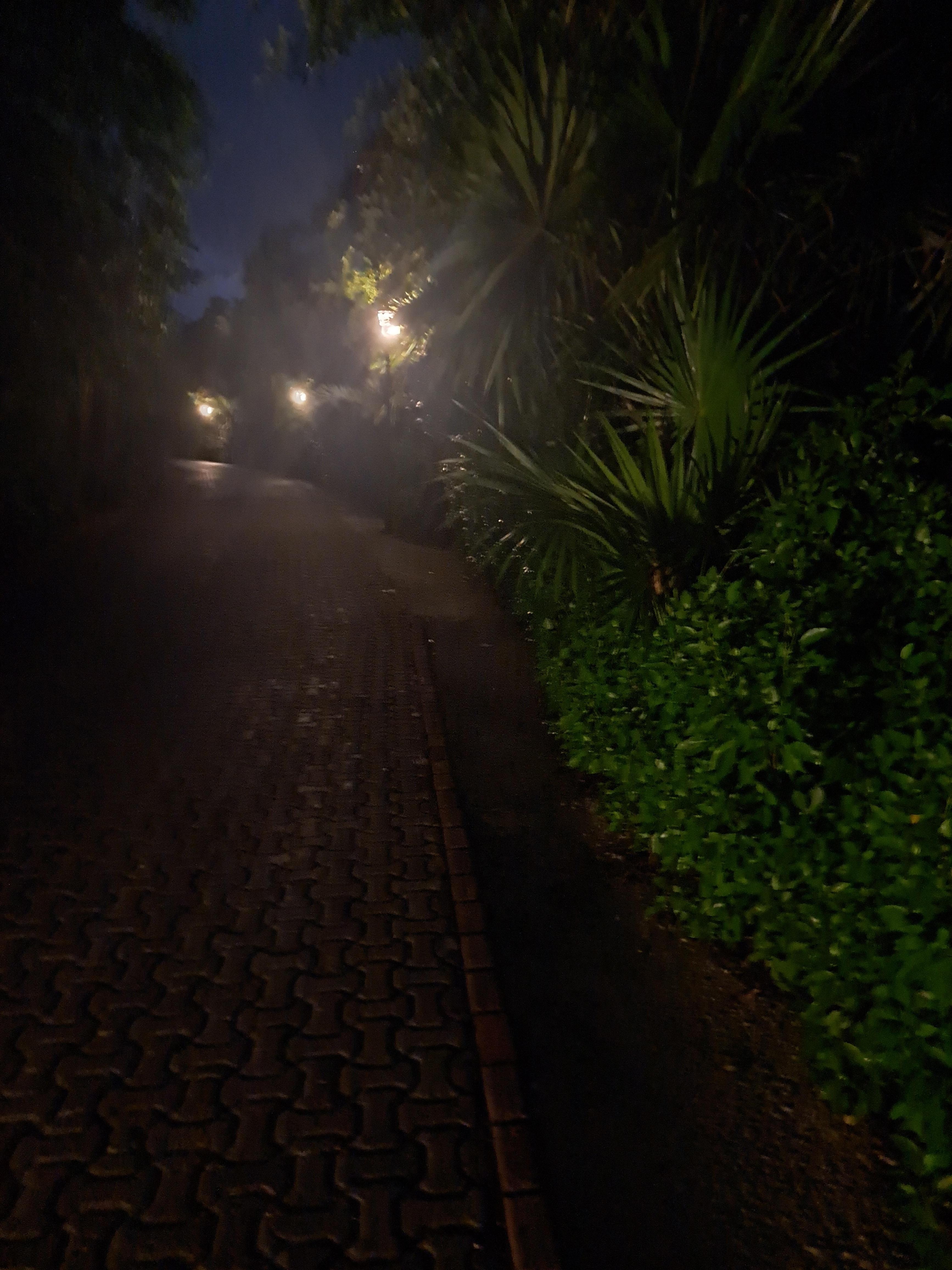 Working in the dark , in the rain for dinner, because no cards to give us a ride