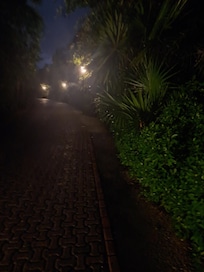 Working in the dark , in the rain for dinner, because no cards to give us a ride