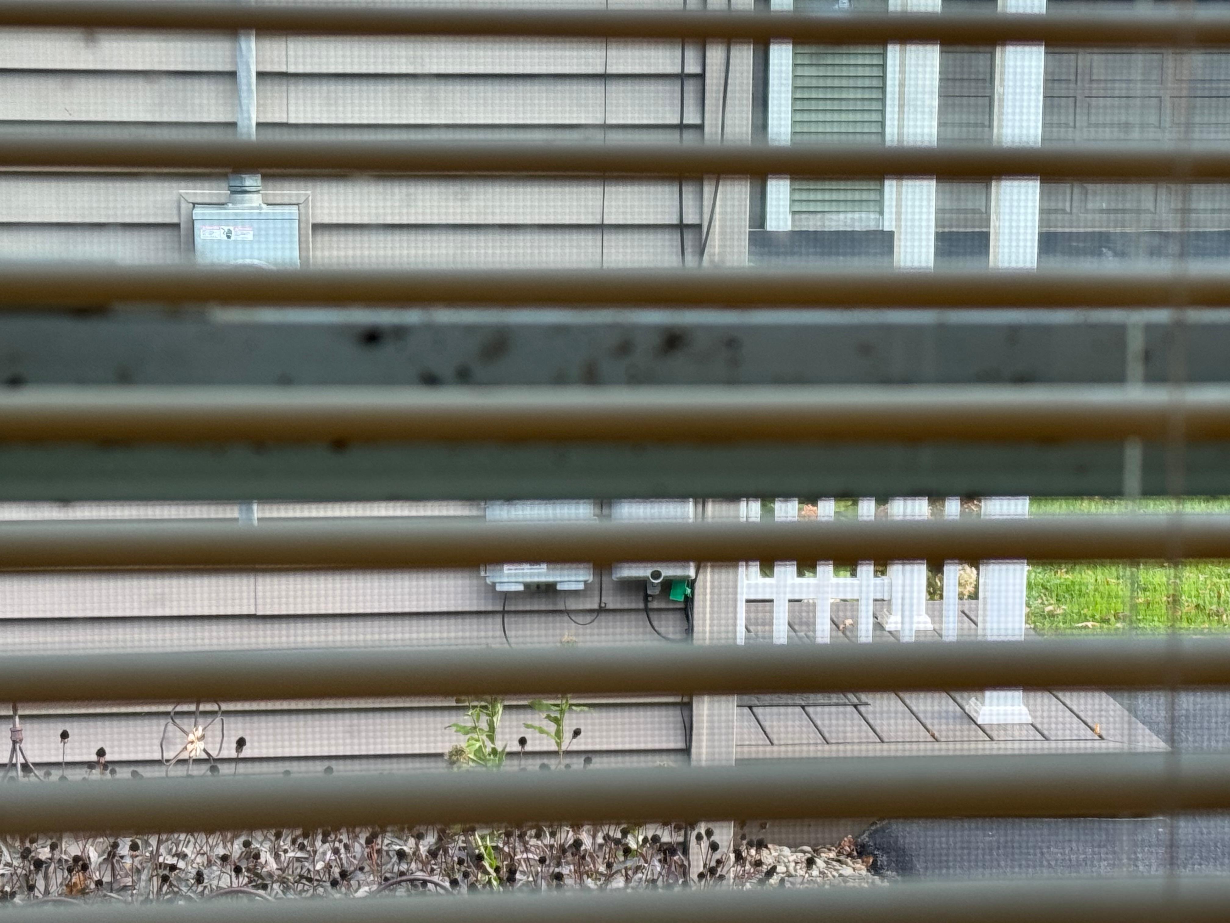 Mold behind blinds on window frame