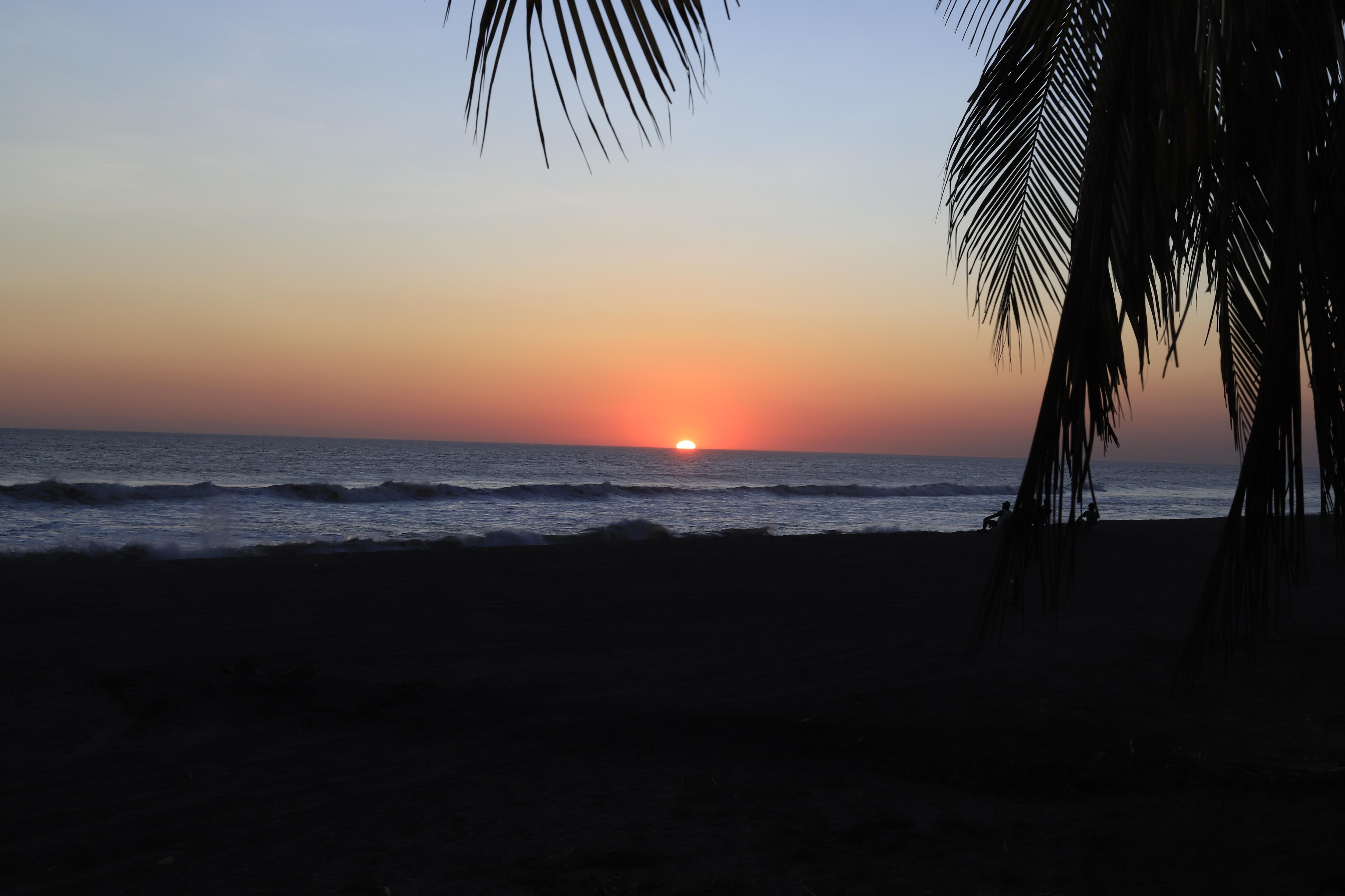 View from outside the gate