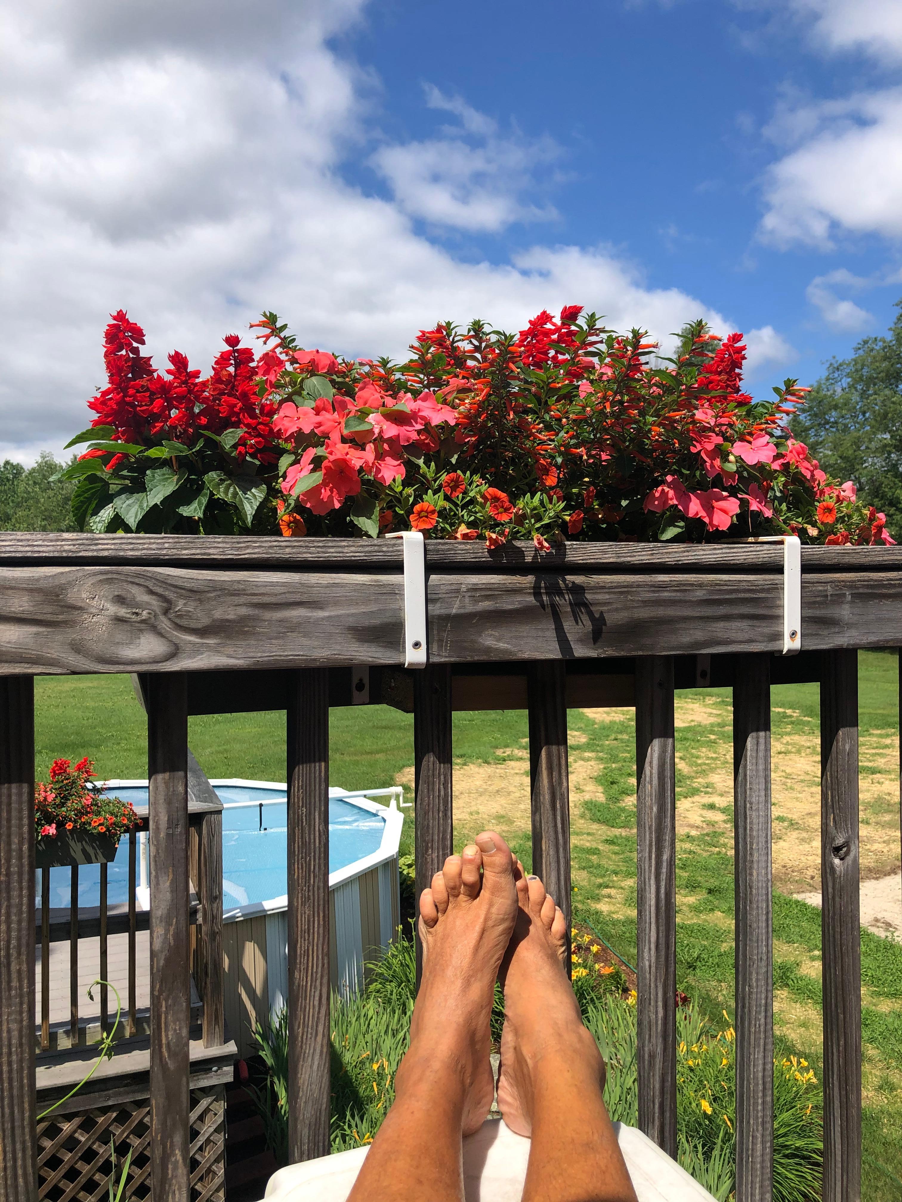 Hummingbirds were frequent visitors on our balcony 