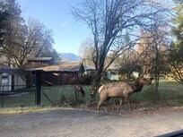 Enjoying time with the locals