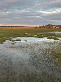 The view from our balcony