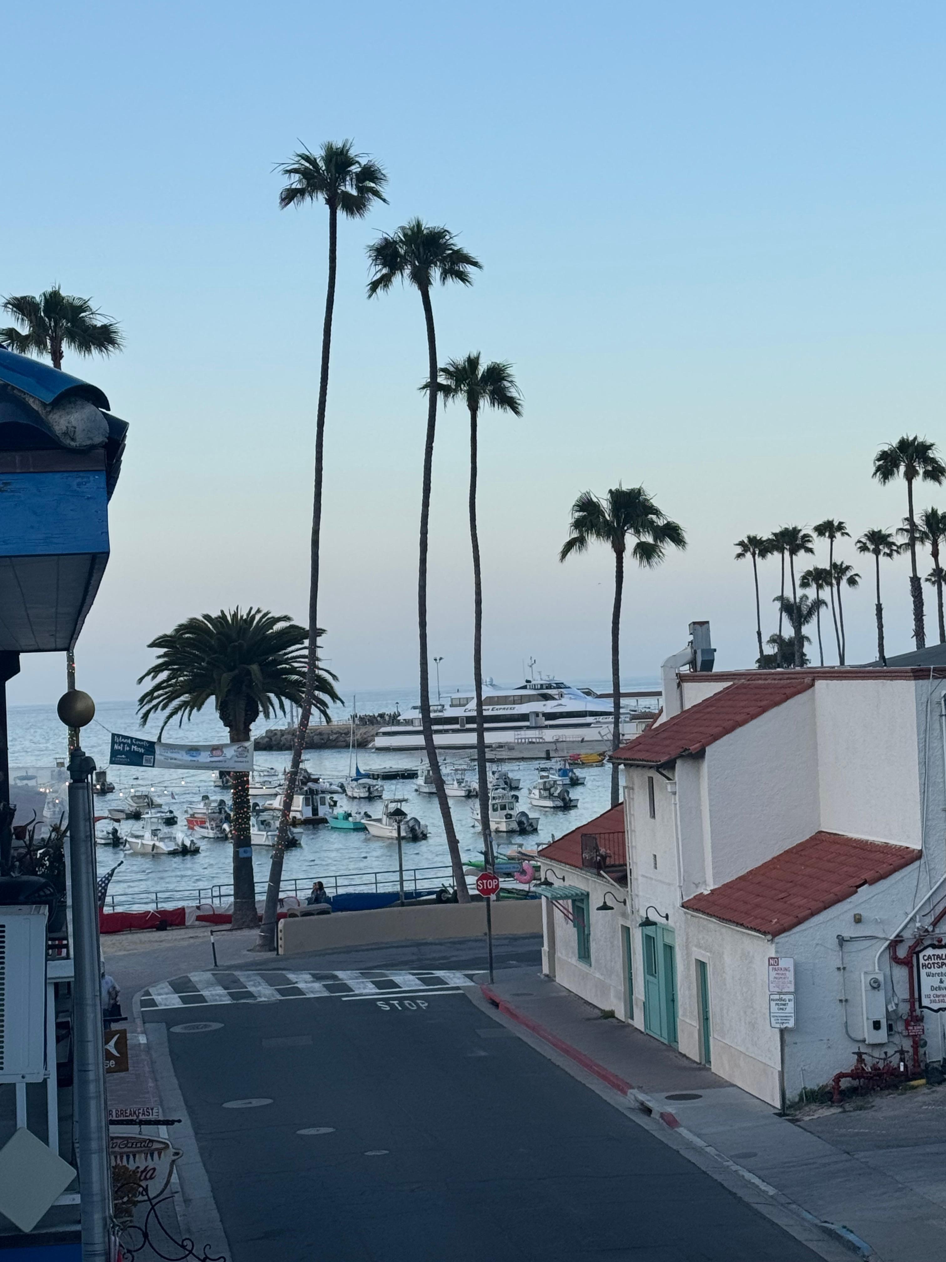 A view of the ferry from the balcony 