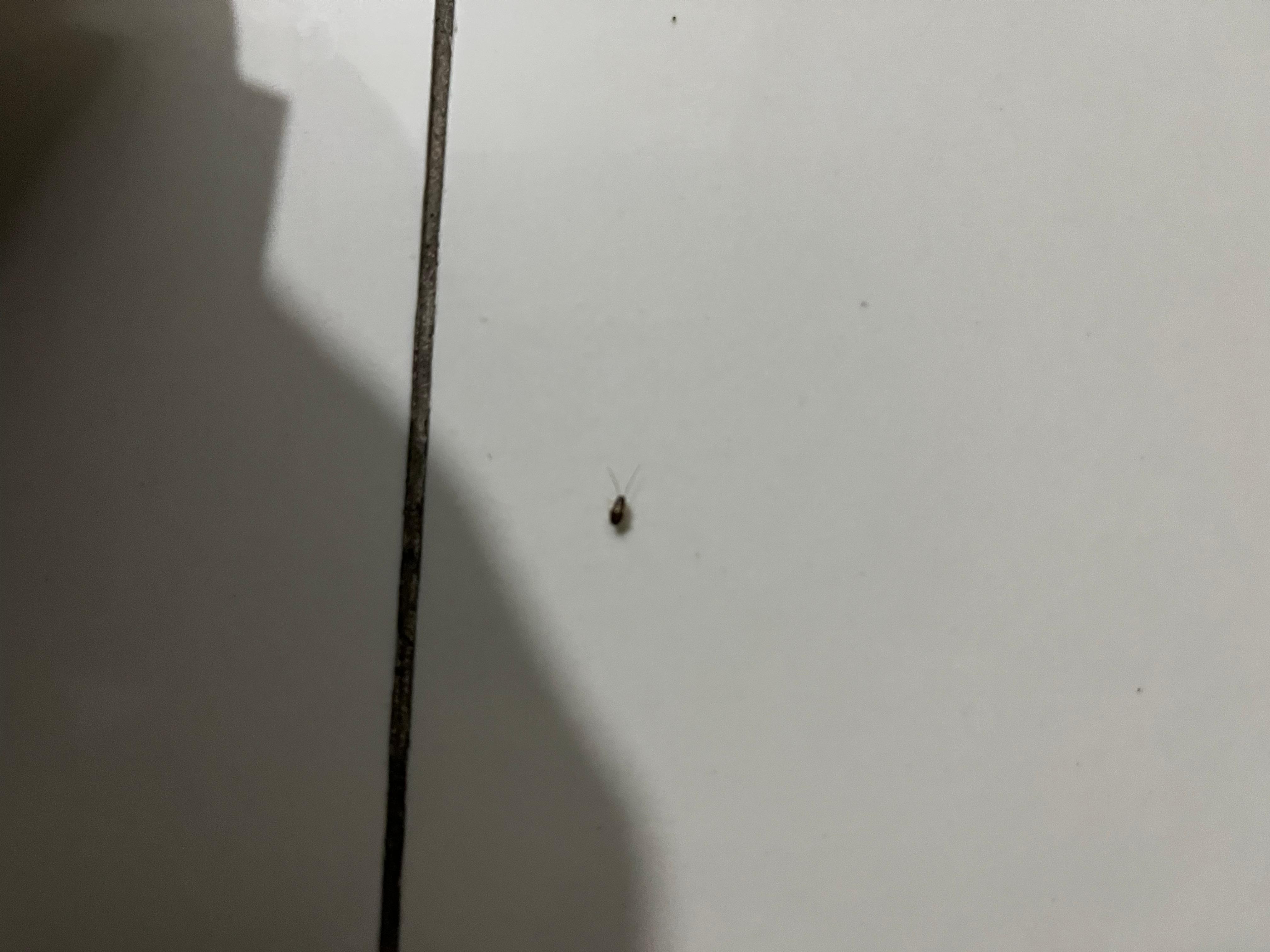 Roaches were everywhere even in the bed. We couldn’t sleep 