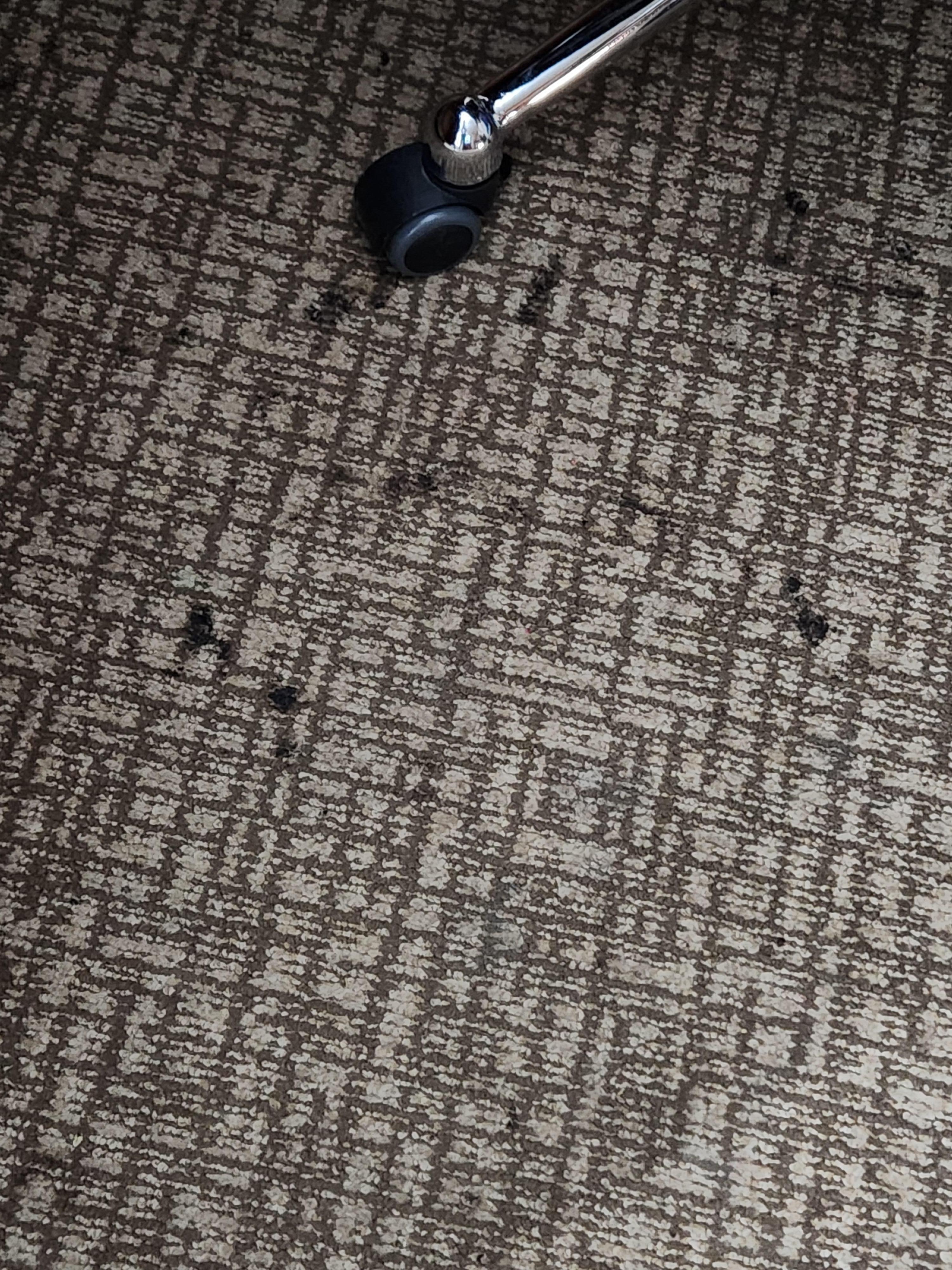 Condition of living room rug